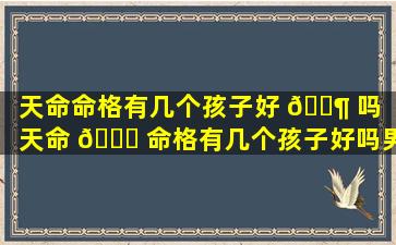 天命命格有几个孩子好 🐶 吗「天命 🍁 命格有几个孩子好吗男孩」